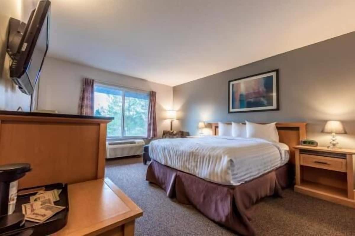 Desk, laptop workspace, iron/ironing board, free cribs/infant beds