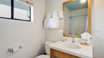 A bathroom with a toilet, sink, and mirror.
