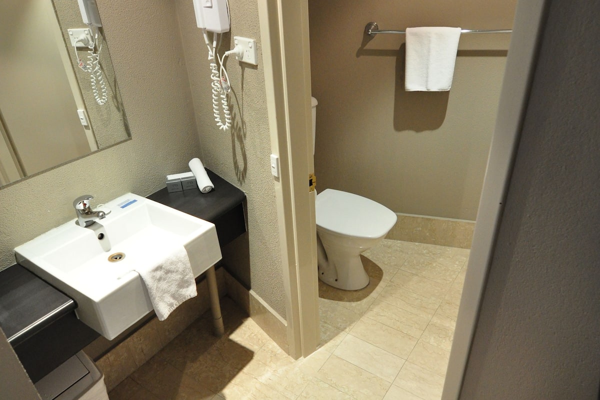 combined shower/bathtub, free toiletries, hair dryer, towels