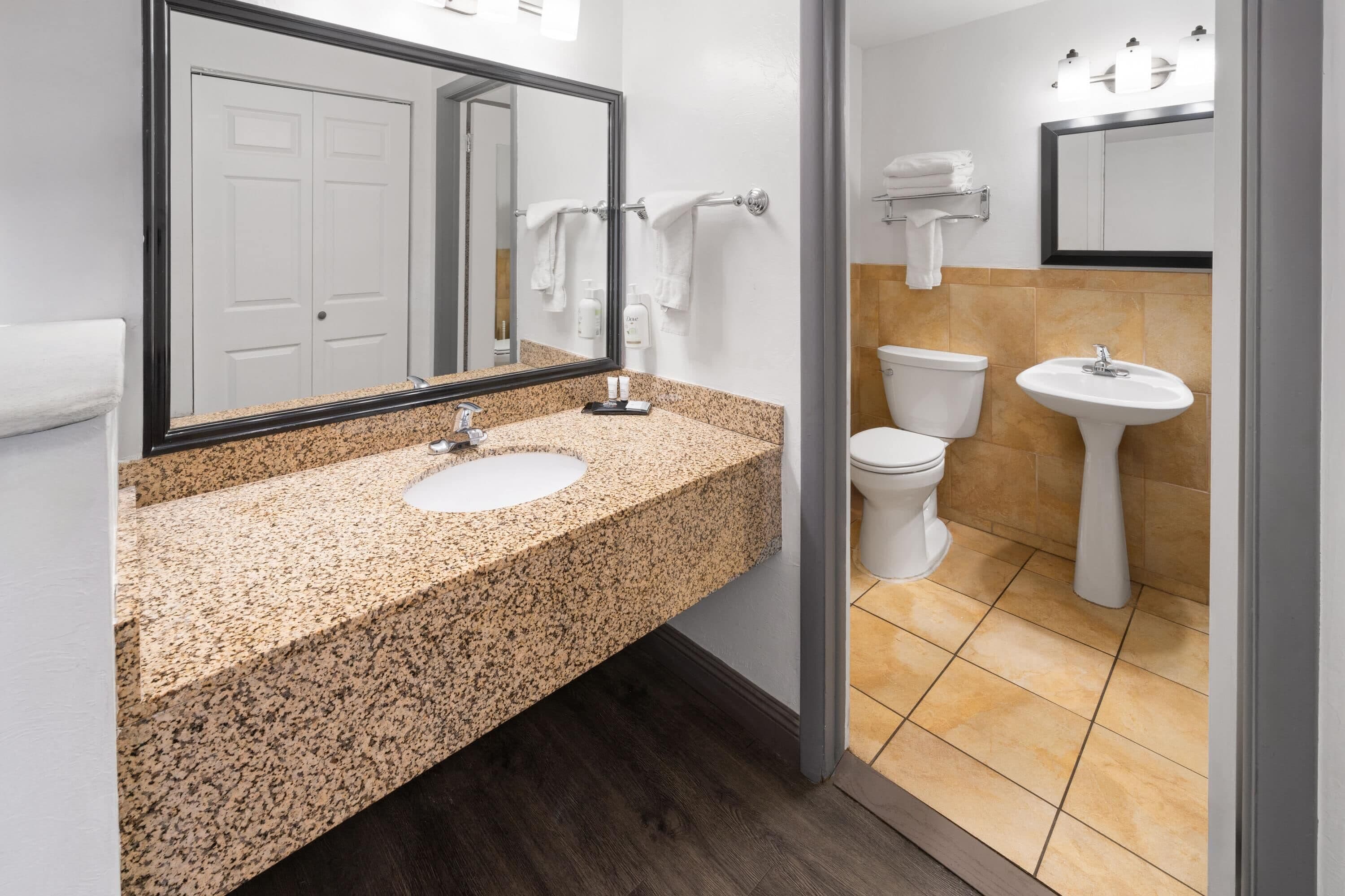 Une salle de bain avec un lavabo en granit, un miroir, des toilettes et un autre lavabo sur pied.