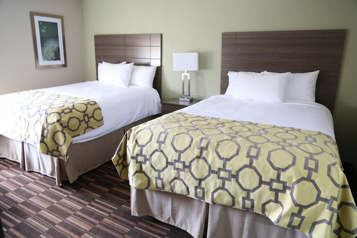 Two beds with headboards, a bedside table with a lamp, and a patterned carpet.