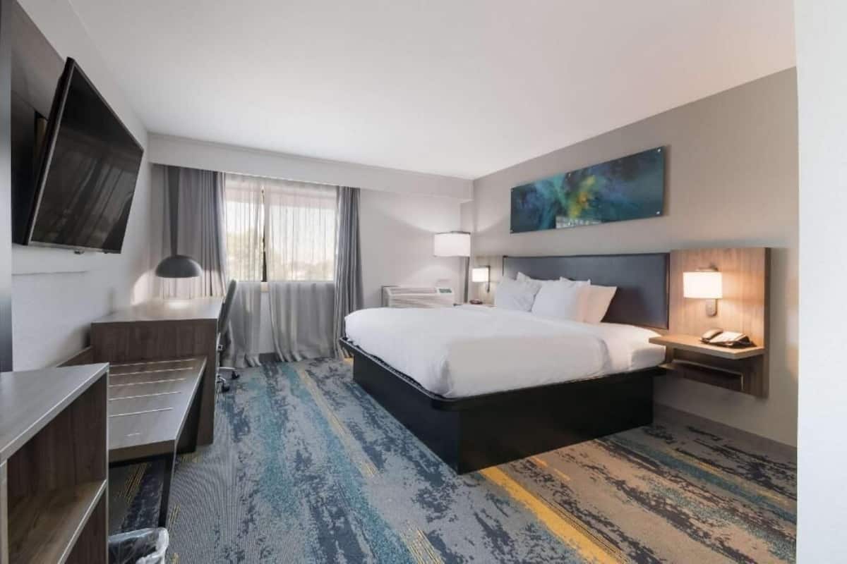 Una habitación de hotel con cama, escritorio, televisión, ventana con cortinas y un cuadro en la pared.