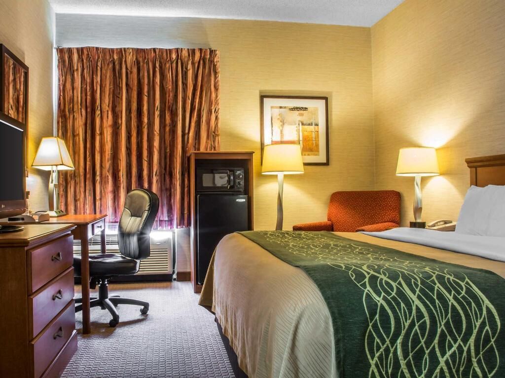 Premium bedding, laptop workspace, iron/ironing board, free WiFi