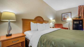 A hotel room with a bed, two bedside tables with lamps, a chair, a microwave, and a framed picture on the wall.