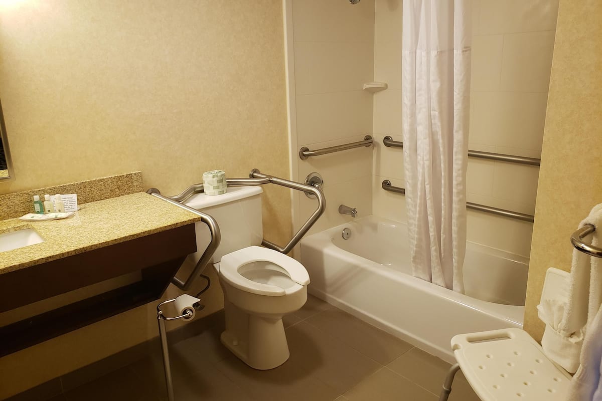 room, 1 king bed, accessible, non smoking | bathroom | free toiletries, hair dryer, towels, soap