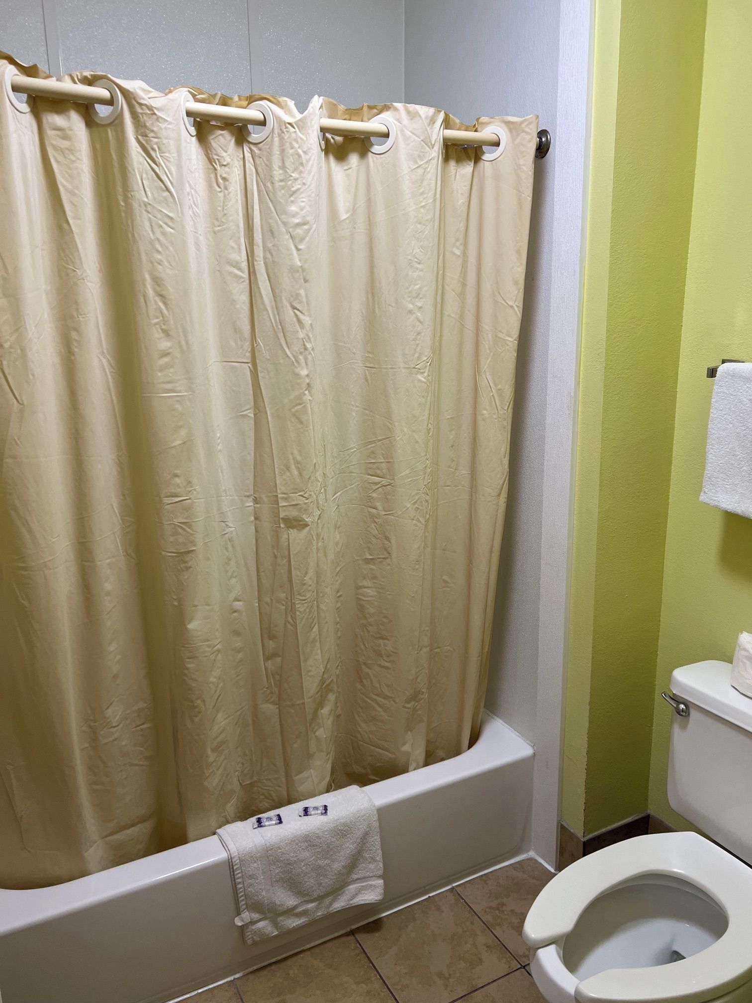 A bathroom with a bathtub, toilet, and a shower curtain.