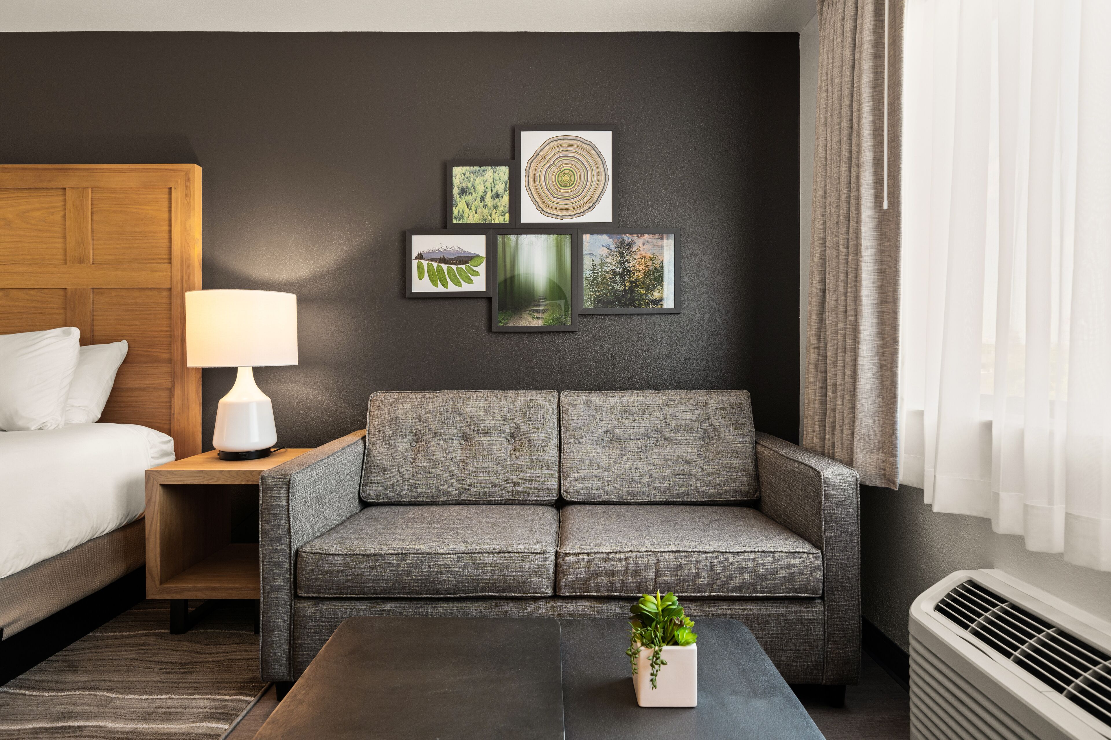 A modern hotel room with a grey sofa, a wooden headboard, a bedside table with a lamp, and framed pictures on the wall.