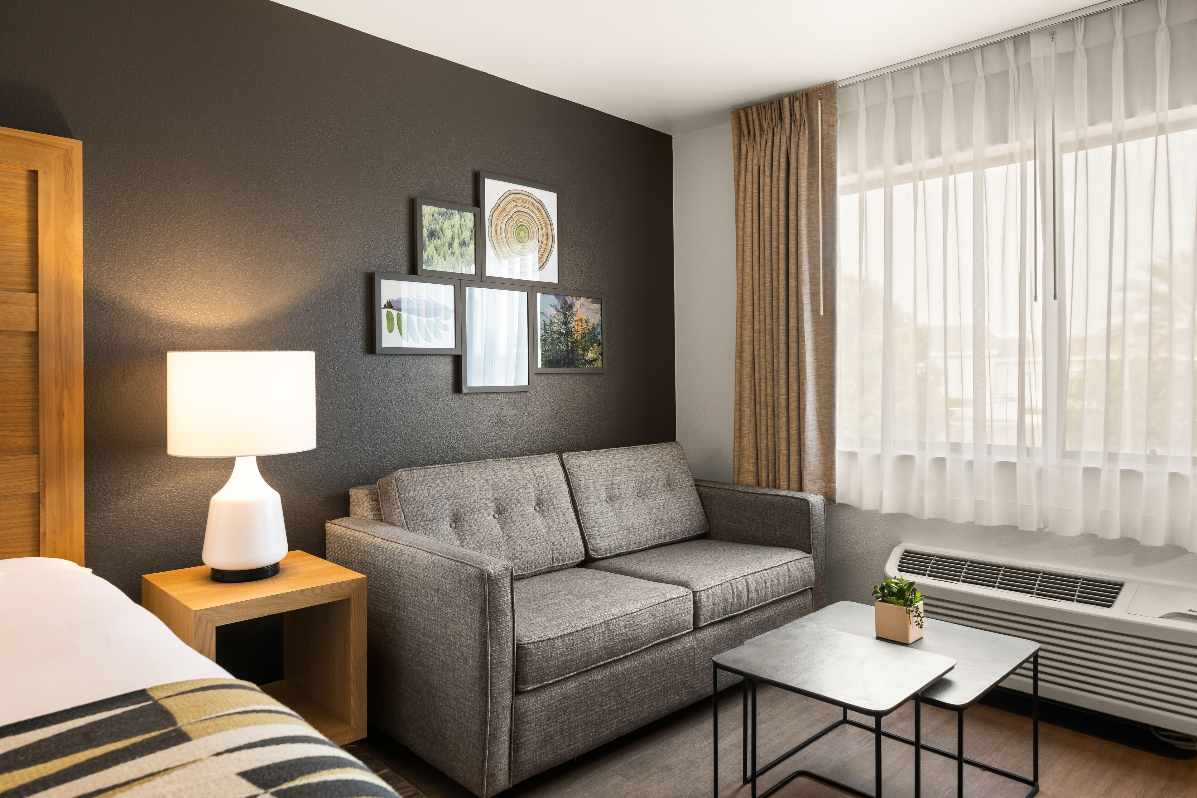 A modern hotel room with a grey sofa, a small table, a bedside lamp, and a window with sheer curtains.