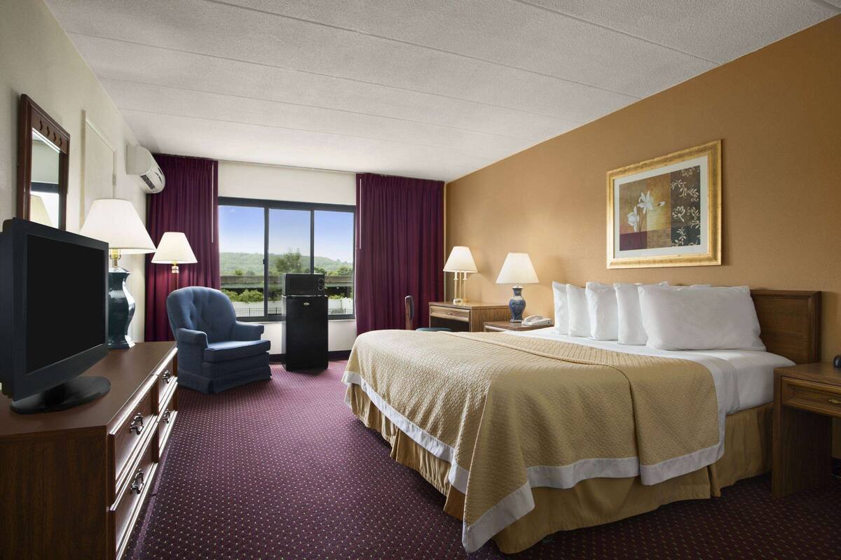 A hotel room with a large bed, two bedside tables, a TV, a chair, and a window with a view of greenery.