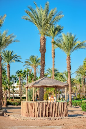 Garden view