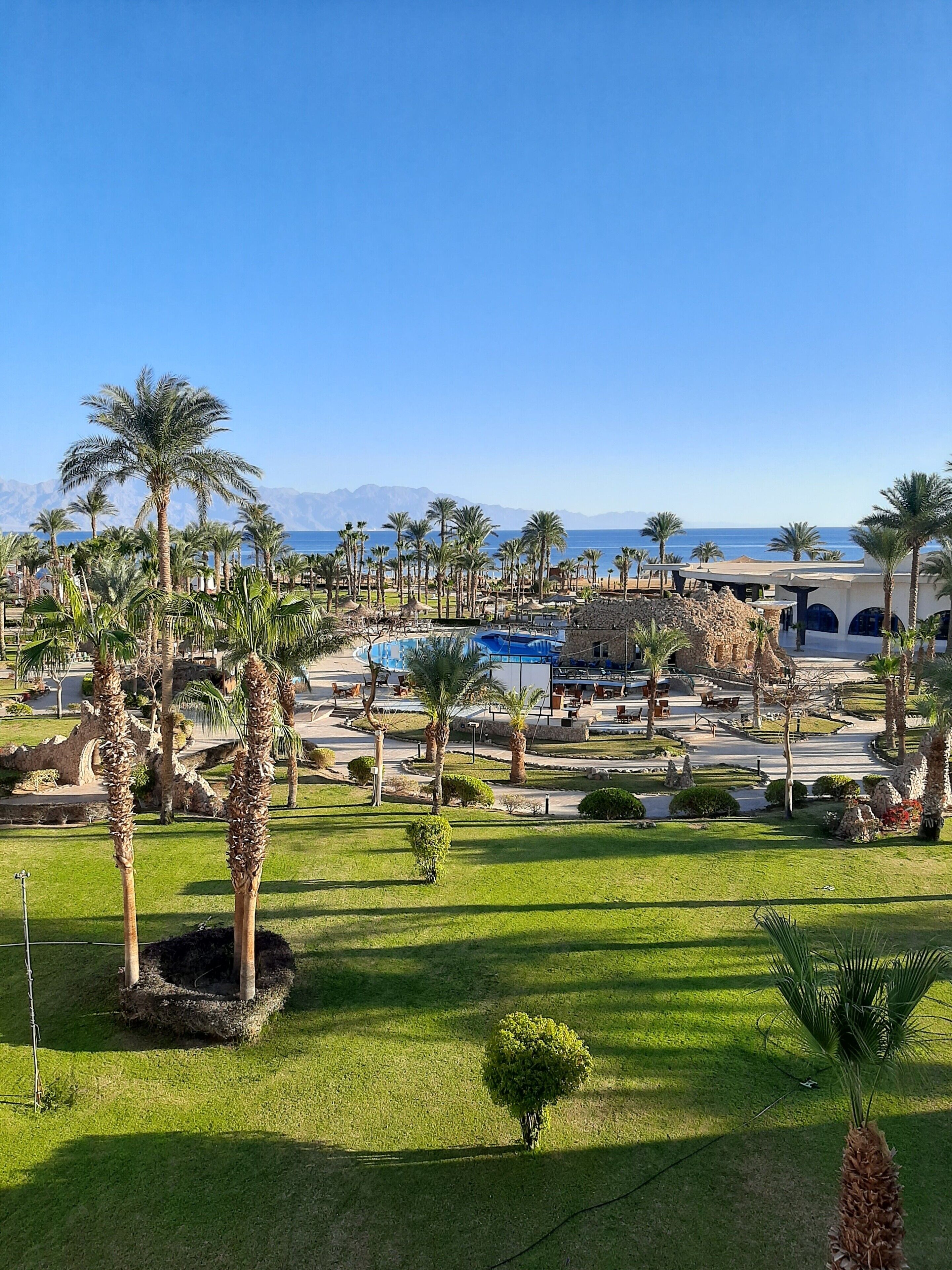 Un complexe hôtelier doté d’une piscine, de palmiers et offrant une vue sur la mer.