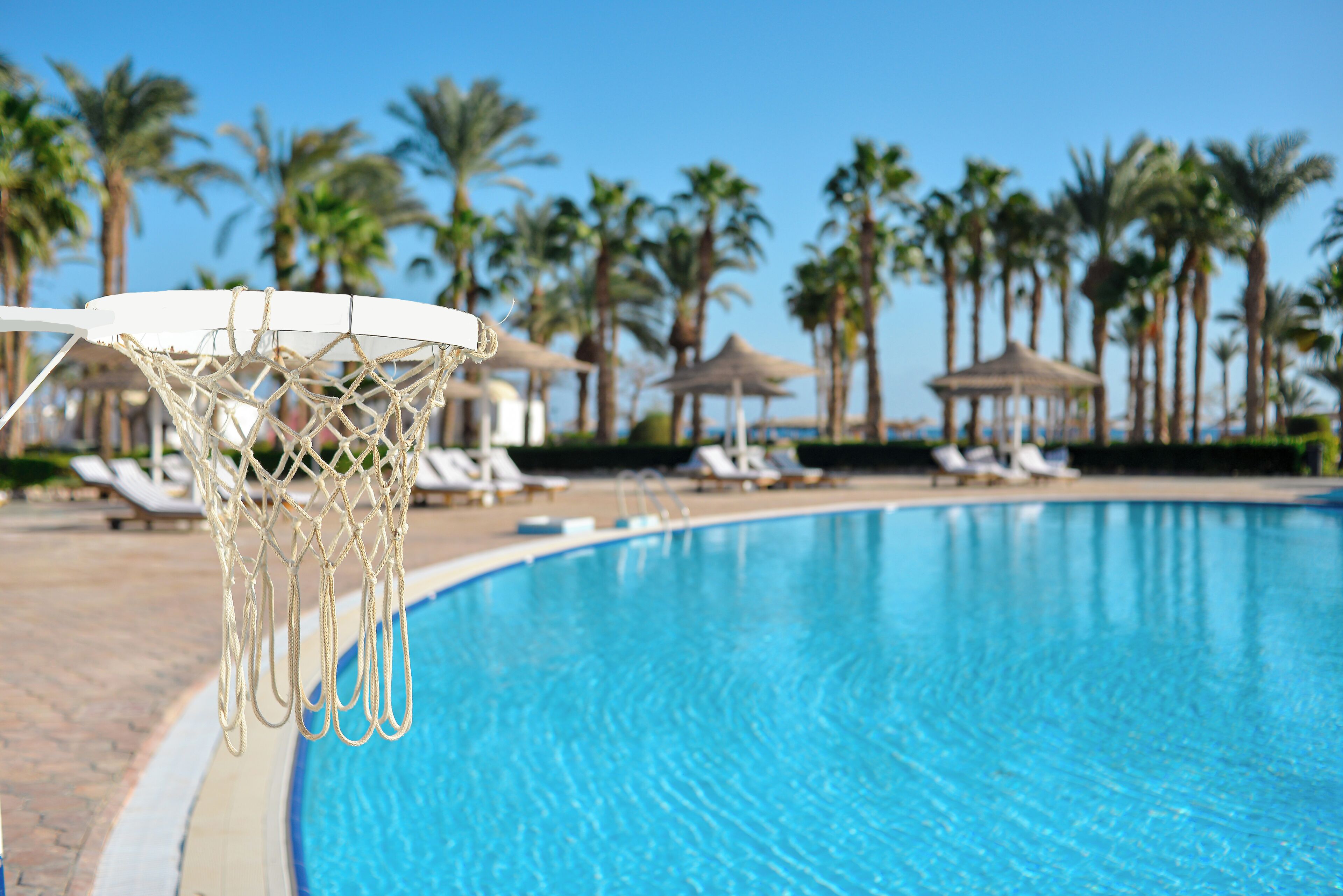 A swimming pool with a basketball hoop, palm trees, and lounge chairs in the background.