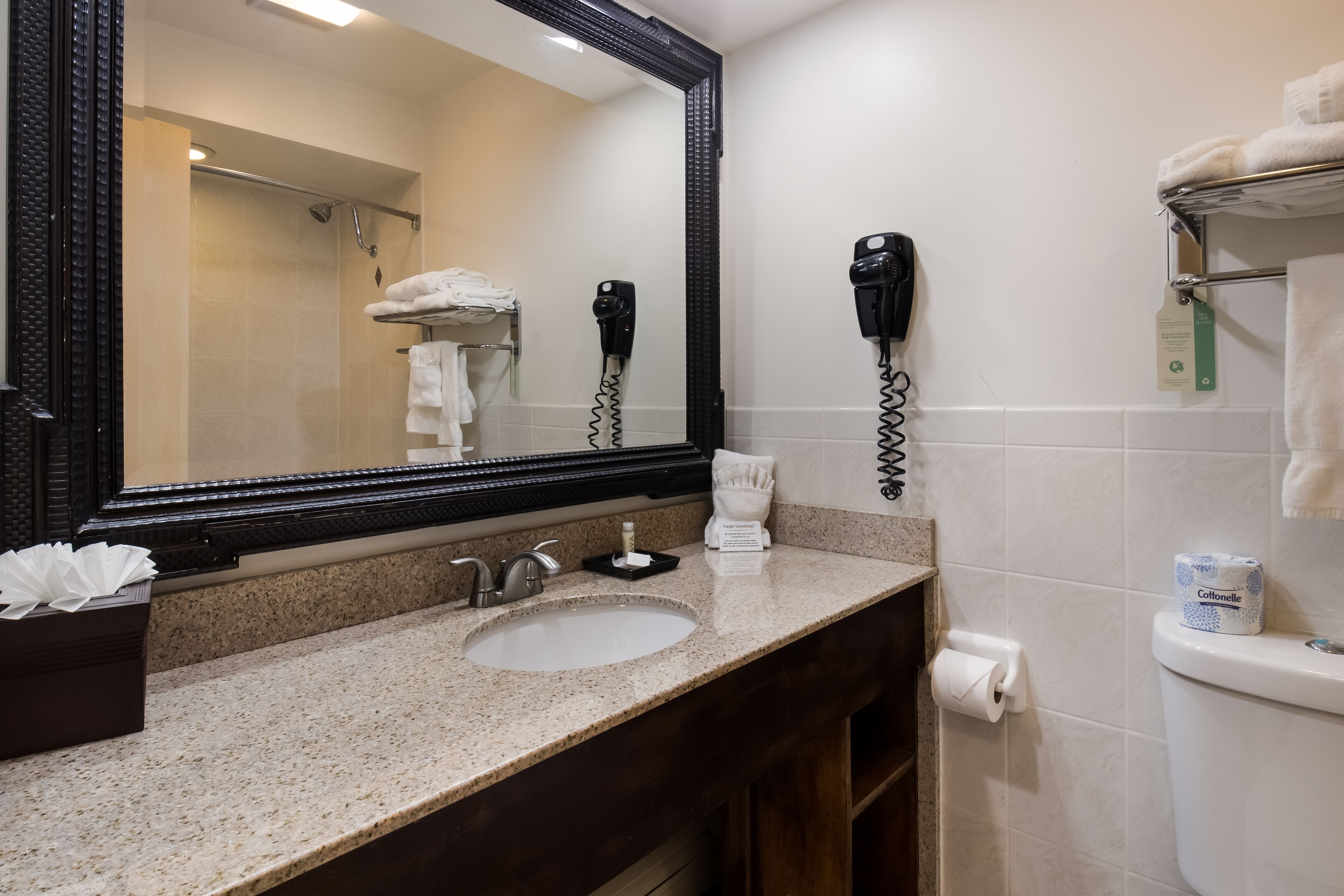 combined shower/bathtub, free toiletries, hair dryer, towels