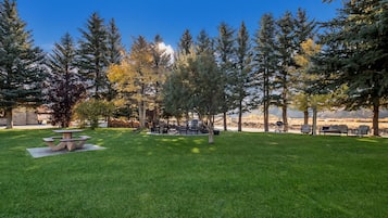 Un espace extérieur verdoyant, avec une table de pique-nique et des bancs, entouré d’arbres et offrant une vue sur un paysage désertique.