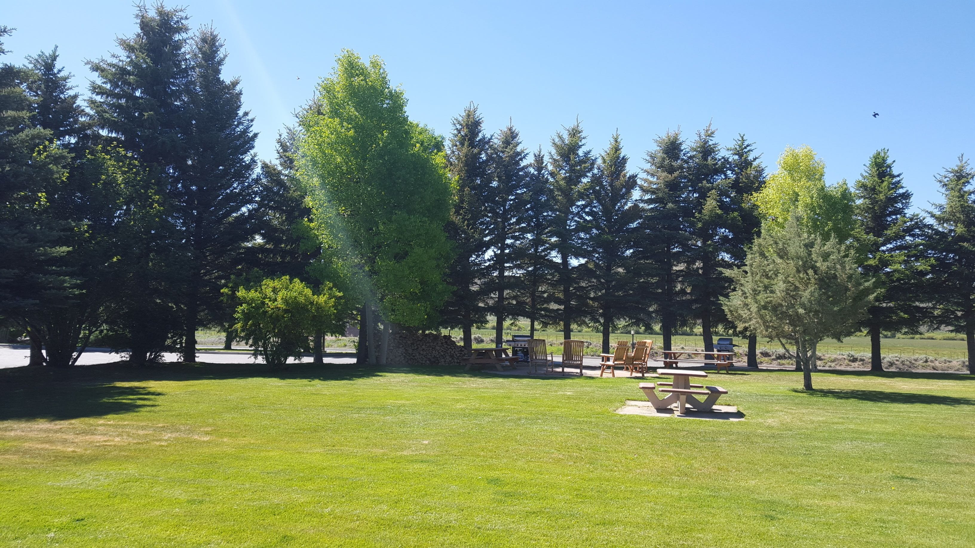 A park with picnic tables and chairs, surrounded by tall trees.