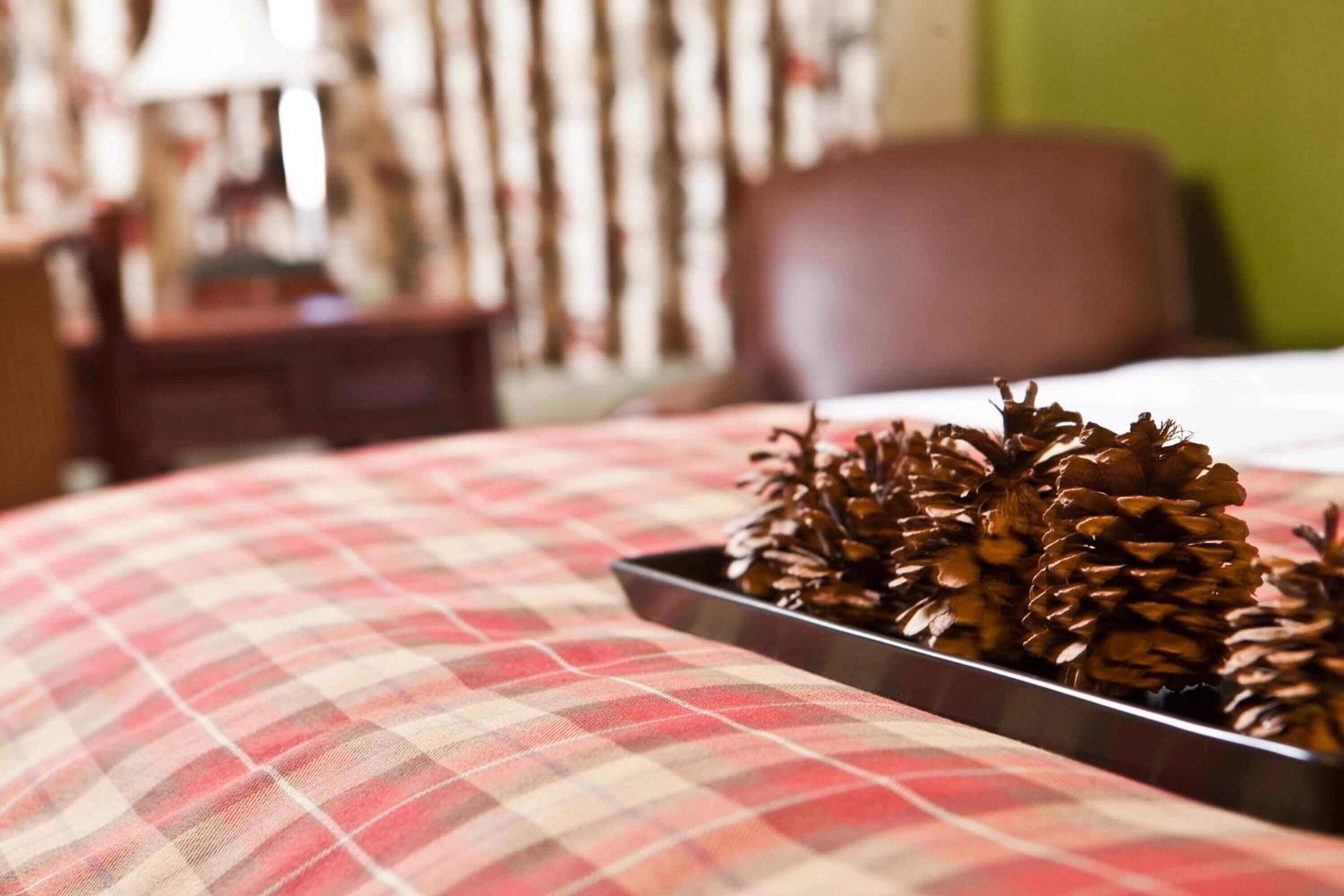 A bed with a plaid bedspread and a tray of pinecones.
