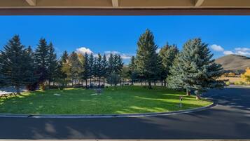 A park with a grassy area, trees, and a road under a bridge.