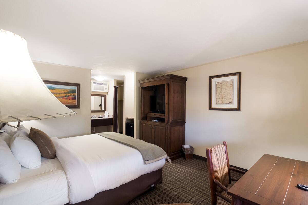 A hotel room with a bed, a desk, a chair, a television, and a framed picture on the wall.
