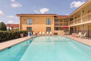 Seasonal outdoor pool, sun loungers