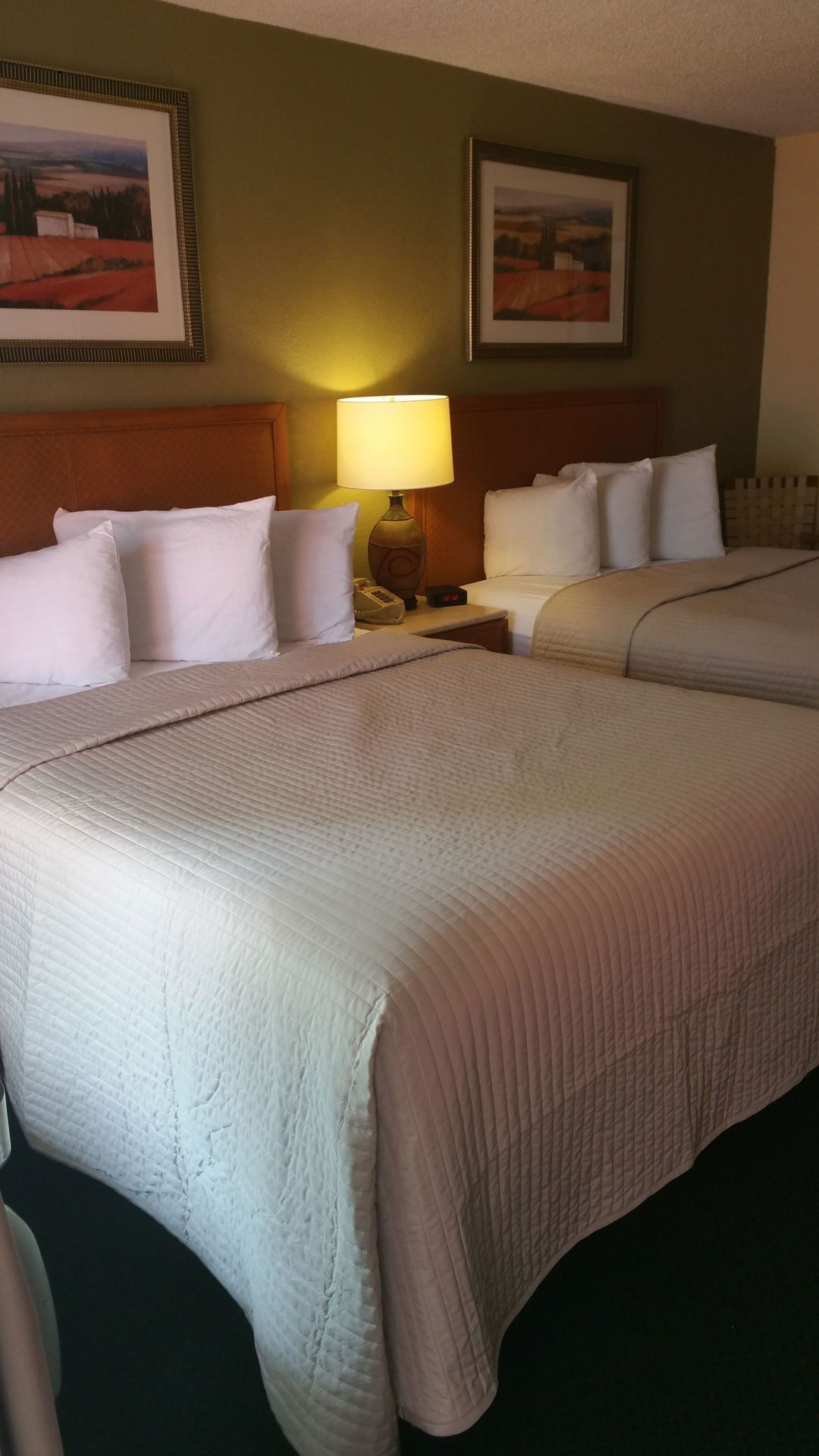 Cortinas opacas, tabla de planchar con plancha, wifi gratis