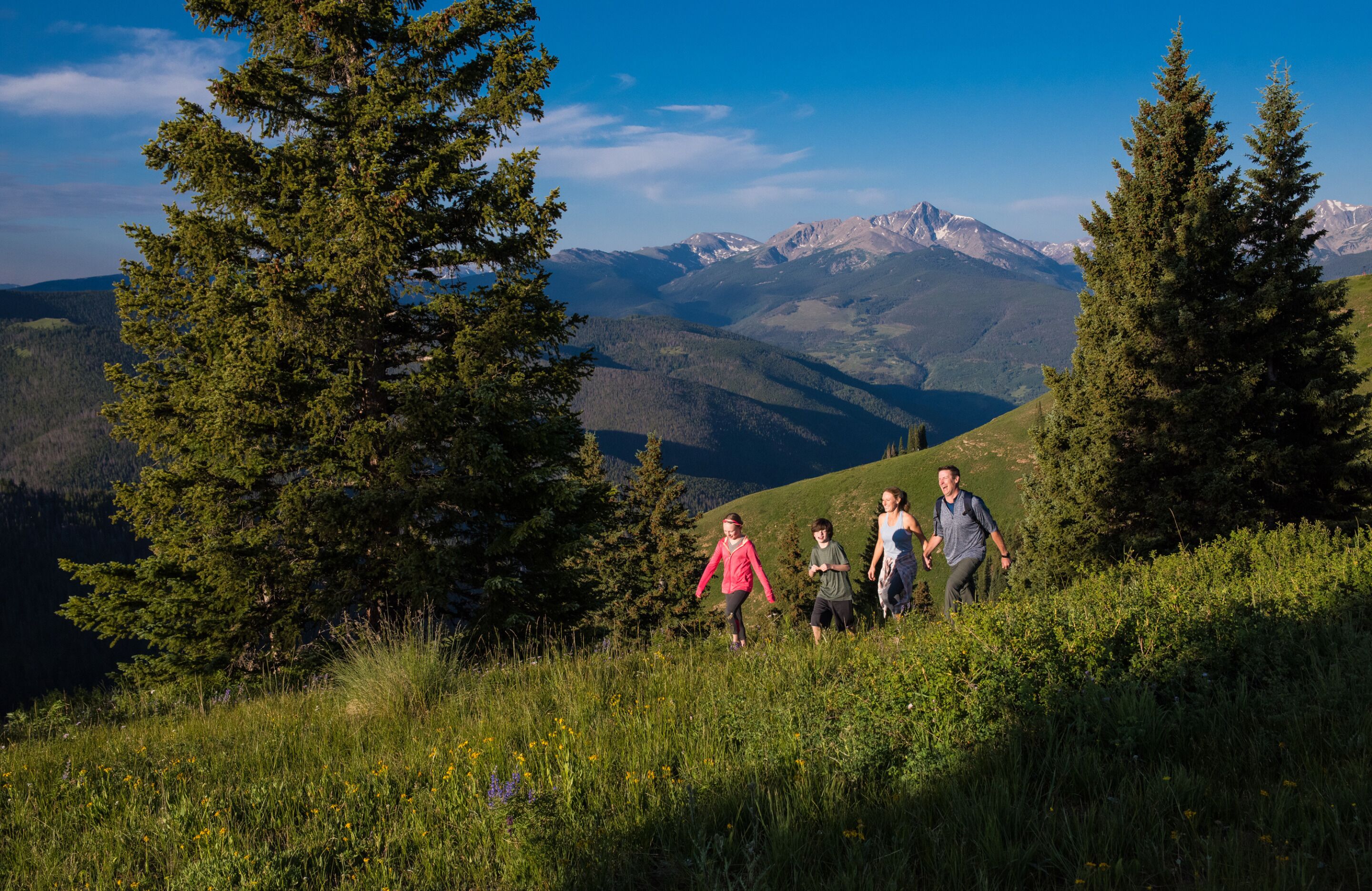 A family walking on a grassy hillside with a mountainous backdrop.