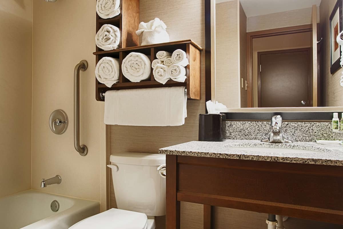 combined shower/bathtub, free toiletries, hair dryer, towels