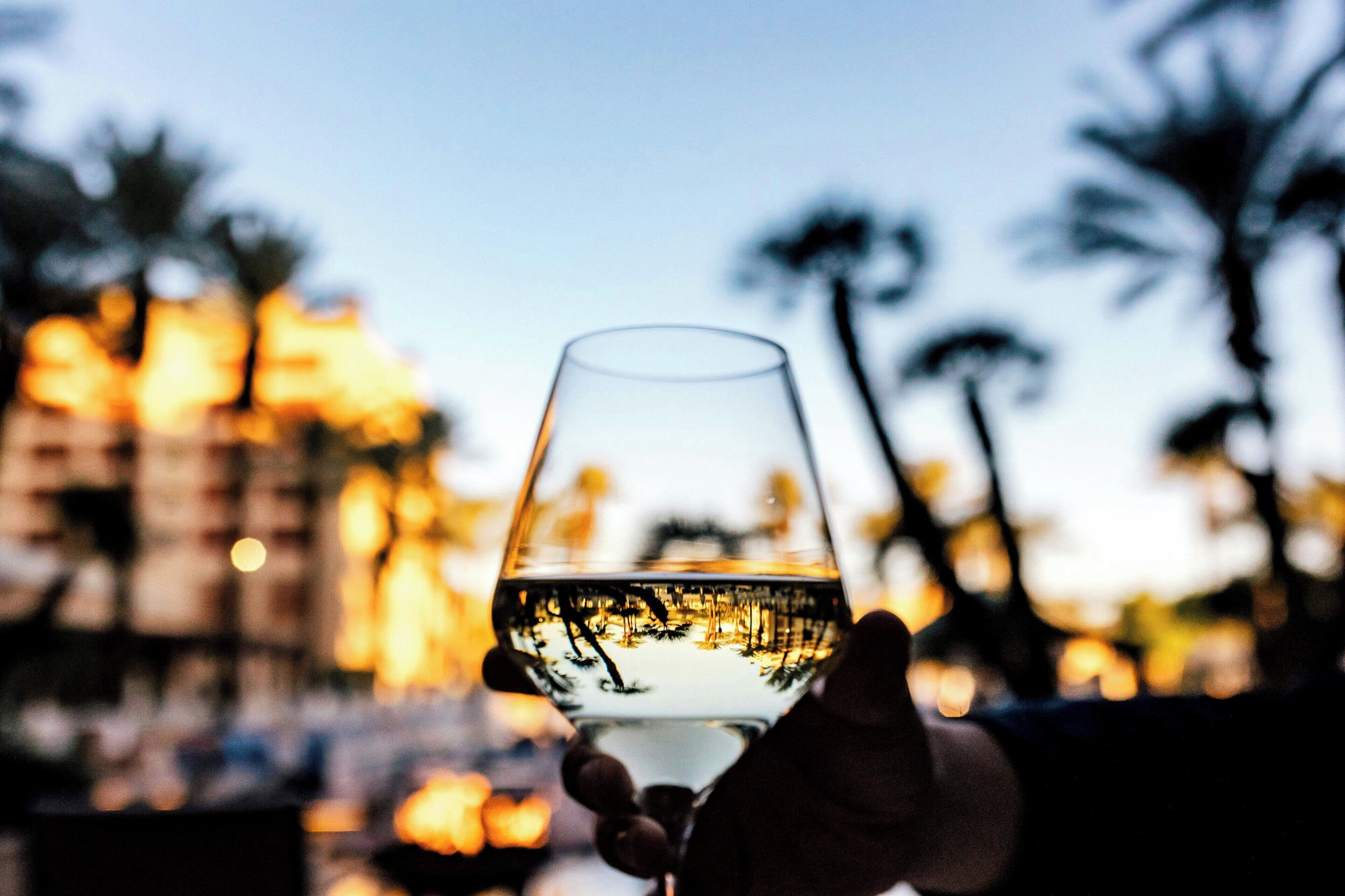 Una mano sosteniendo una copa de vino, con el reflejo de árboles y un paisaje urbano al fondo.