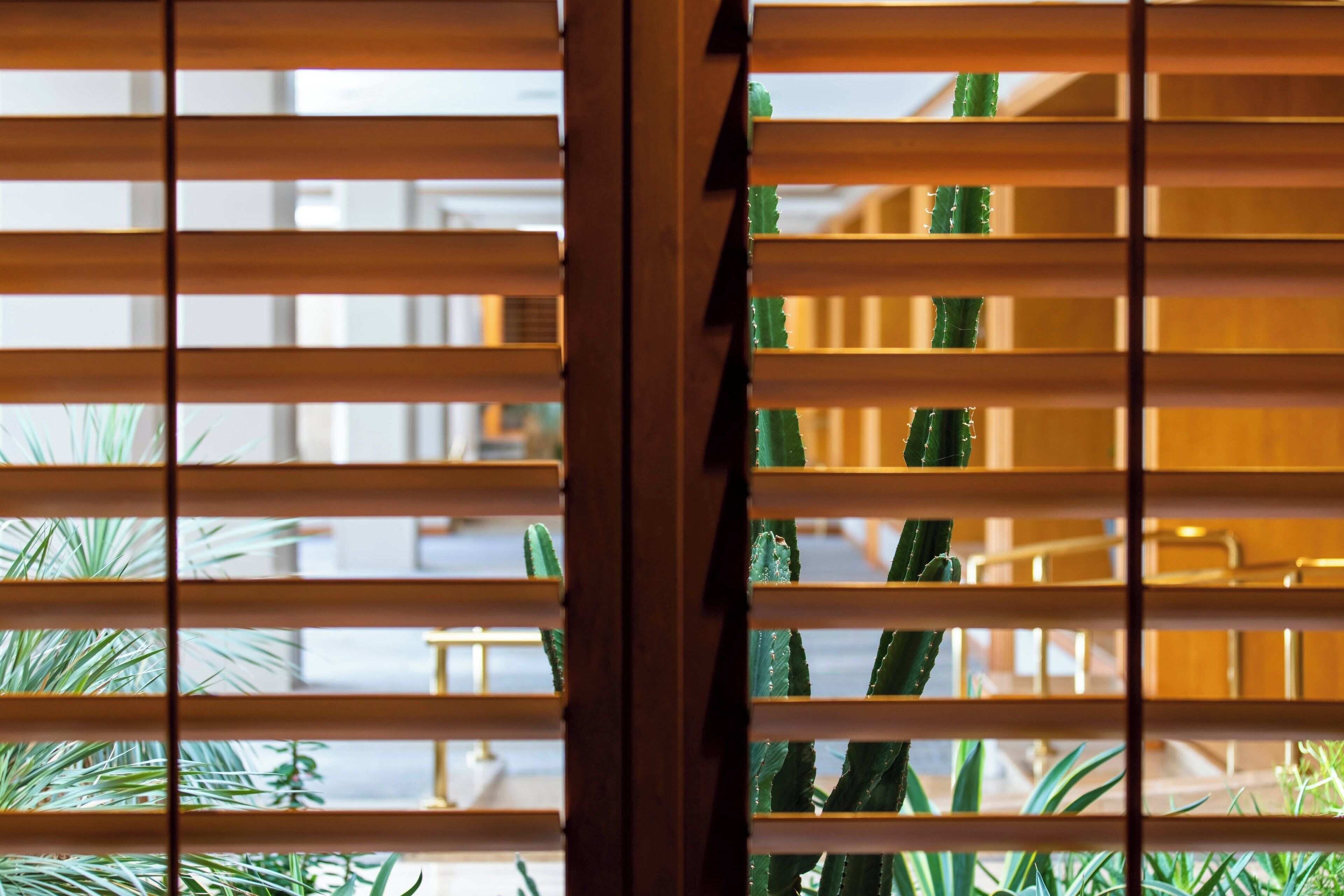 Une vue à travers des stores en bois, avec des plantes vertes visibles en arrière-plan.