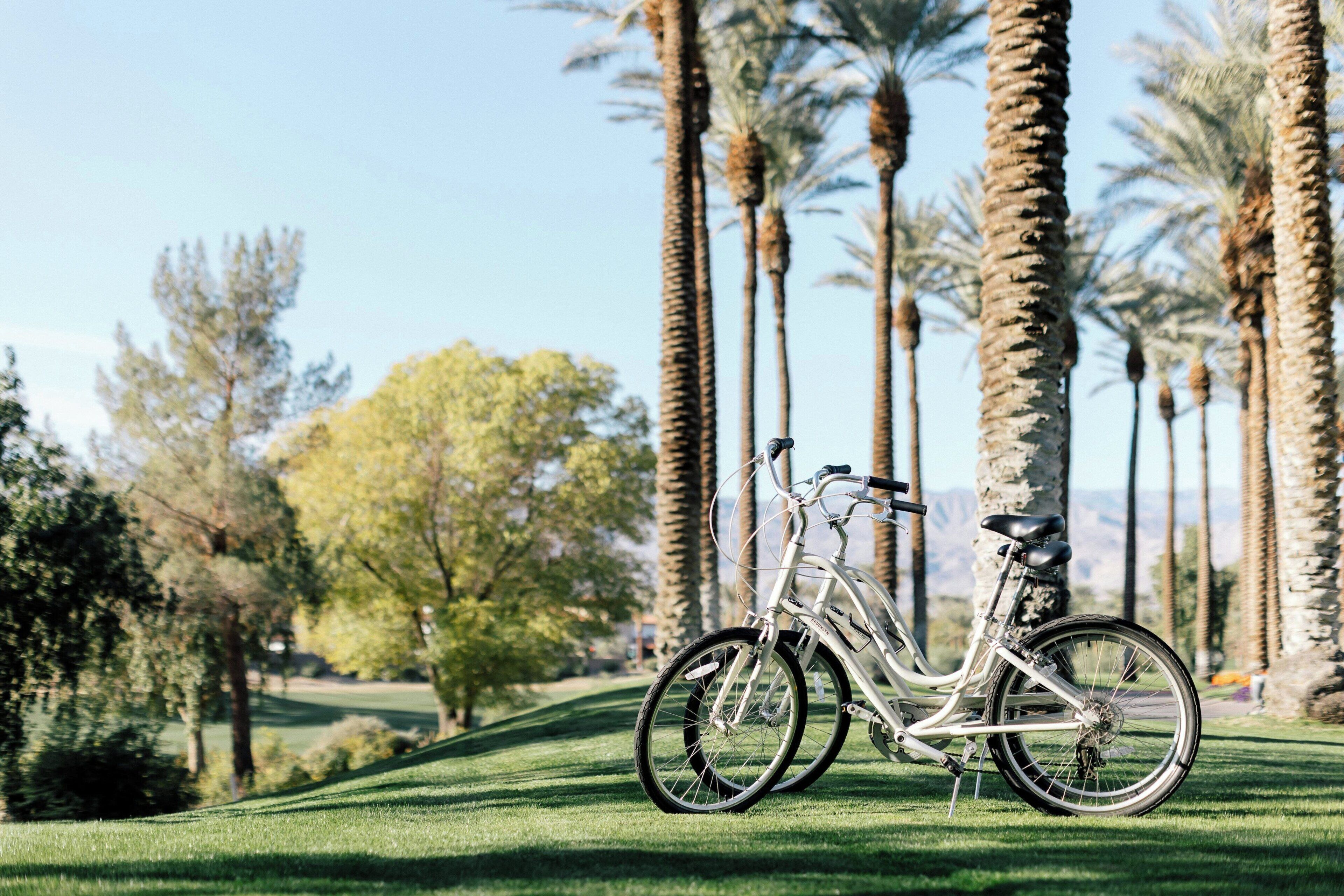 A bicycle parked on a well-maintained lawn with tall palm trees in the background.