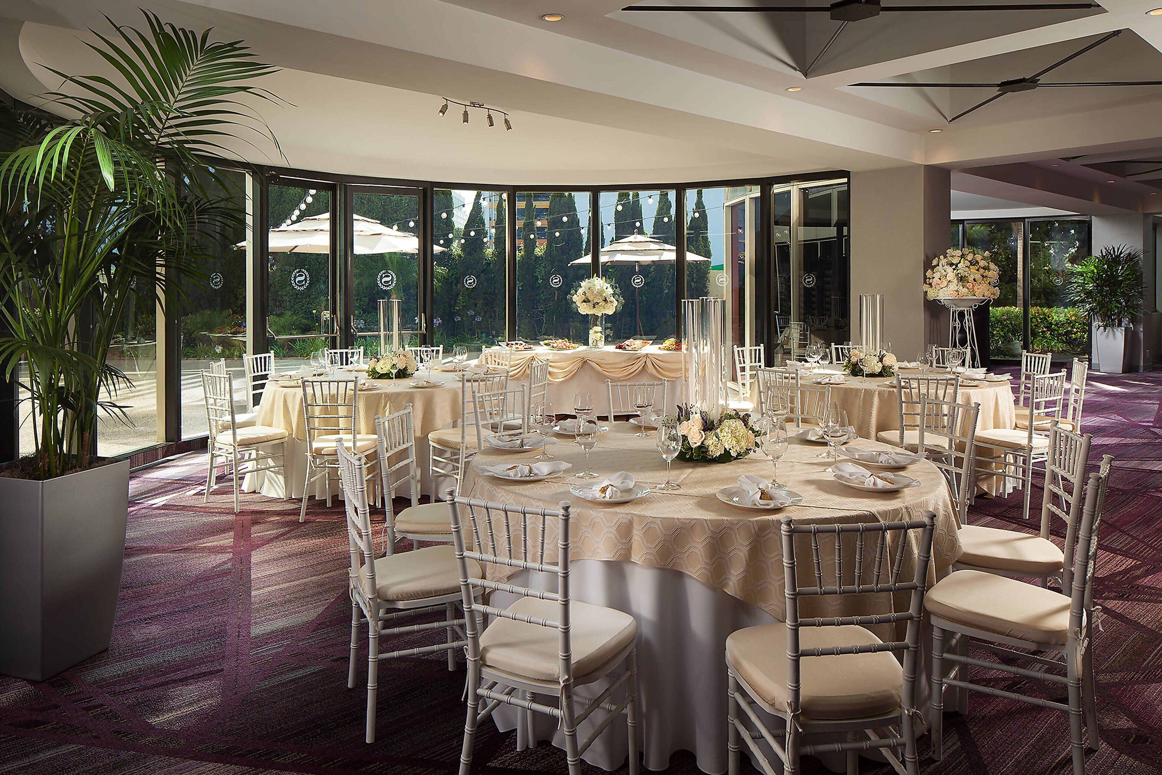 A formal dining area with round tables, white chairs, and a large potted plant.
