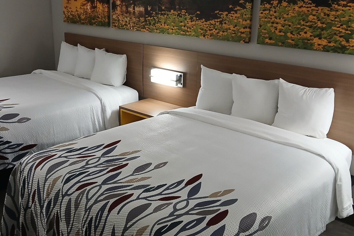 A hotel room with two beds, each with a patterned bedspread and white pillows. There is a nightstand between the beds with a lamp on it.