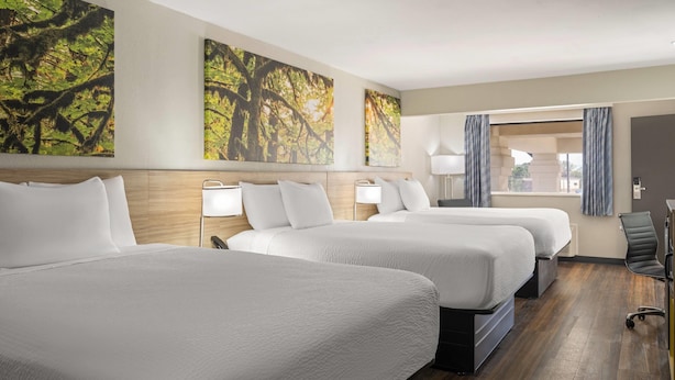 Hotellihuone, jossa on kolme sänkyä, puulattia ja suuret metsäteemaiset seinätaulut.