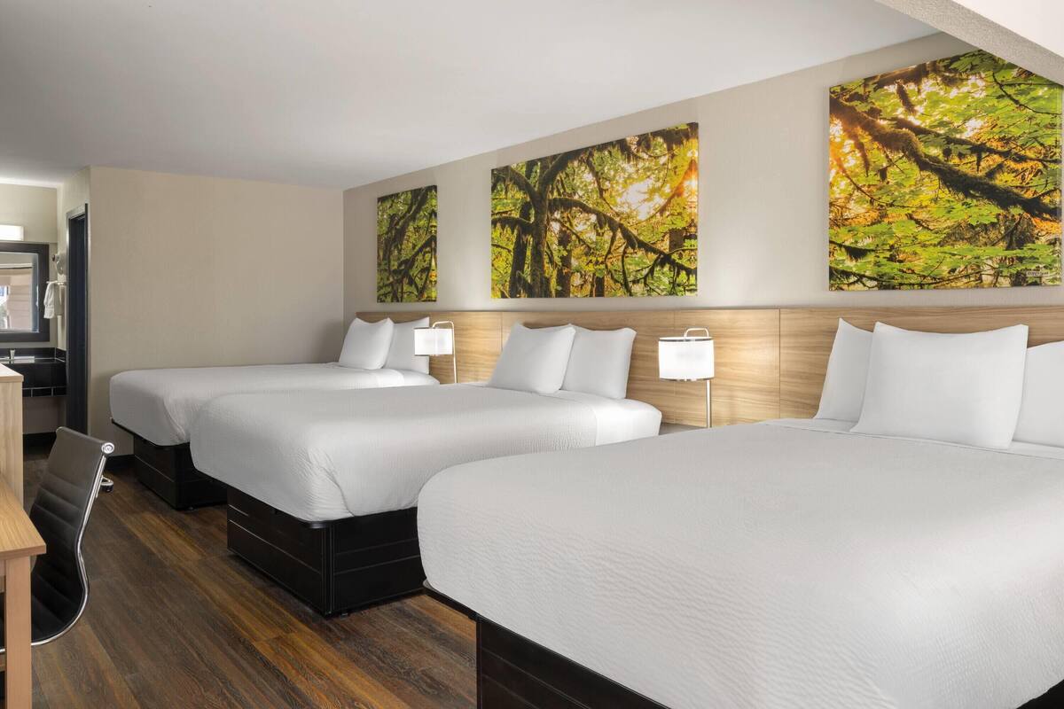 Habitación de hotel con dos camas, piso de madera y tres grandes cuadros con motivos forestales.
