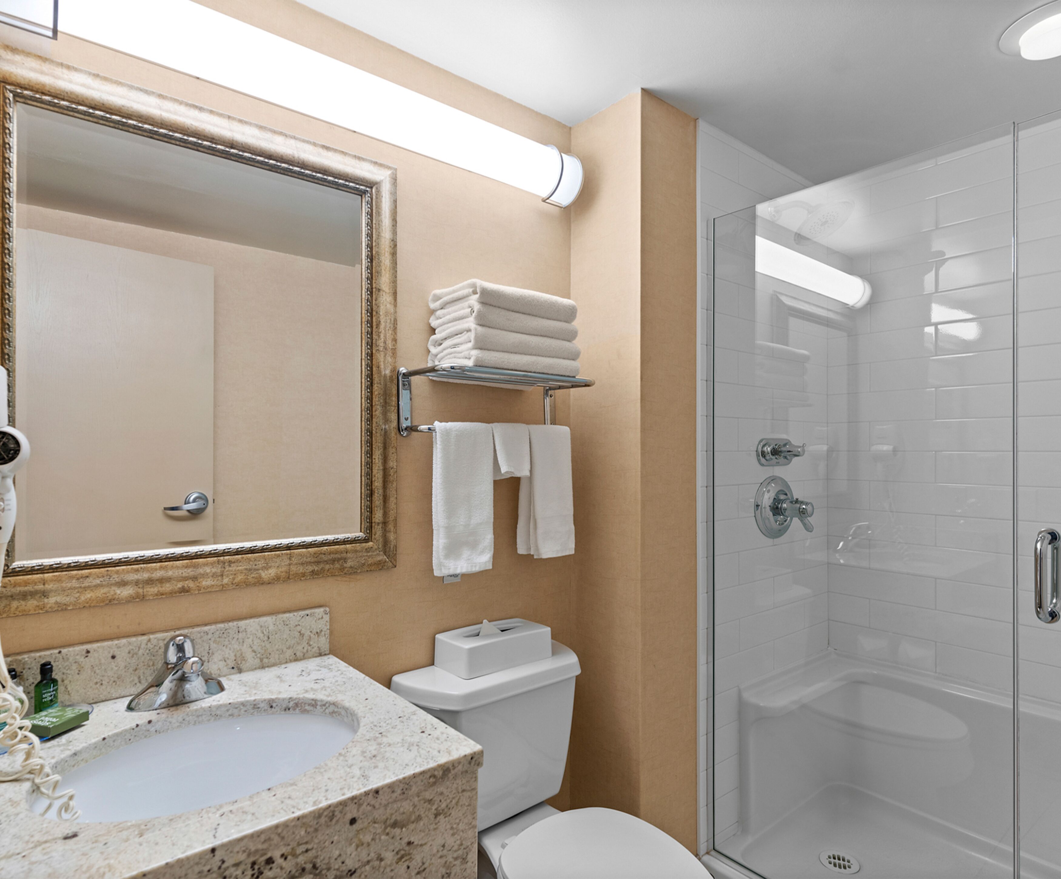 executive suite, 1 bedroom, non smoking | bathroom | free toiletries, hair dryer, towels