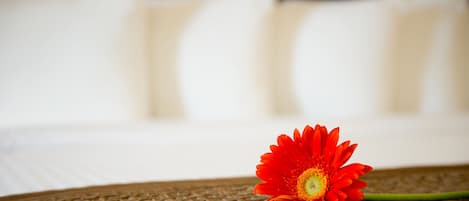 A single red flower on a textured surface with a blurred background of a bed with white pillows.