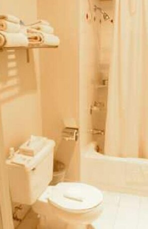 Combined shower/bathtub, free toiletries, hair dryer, towels