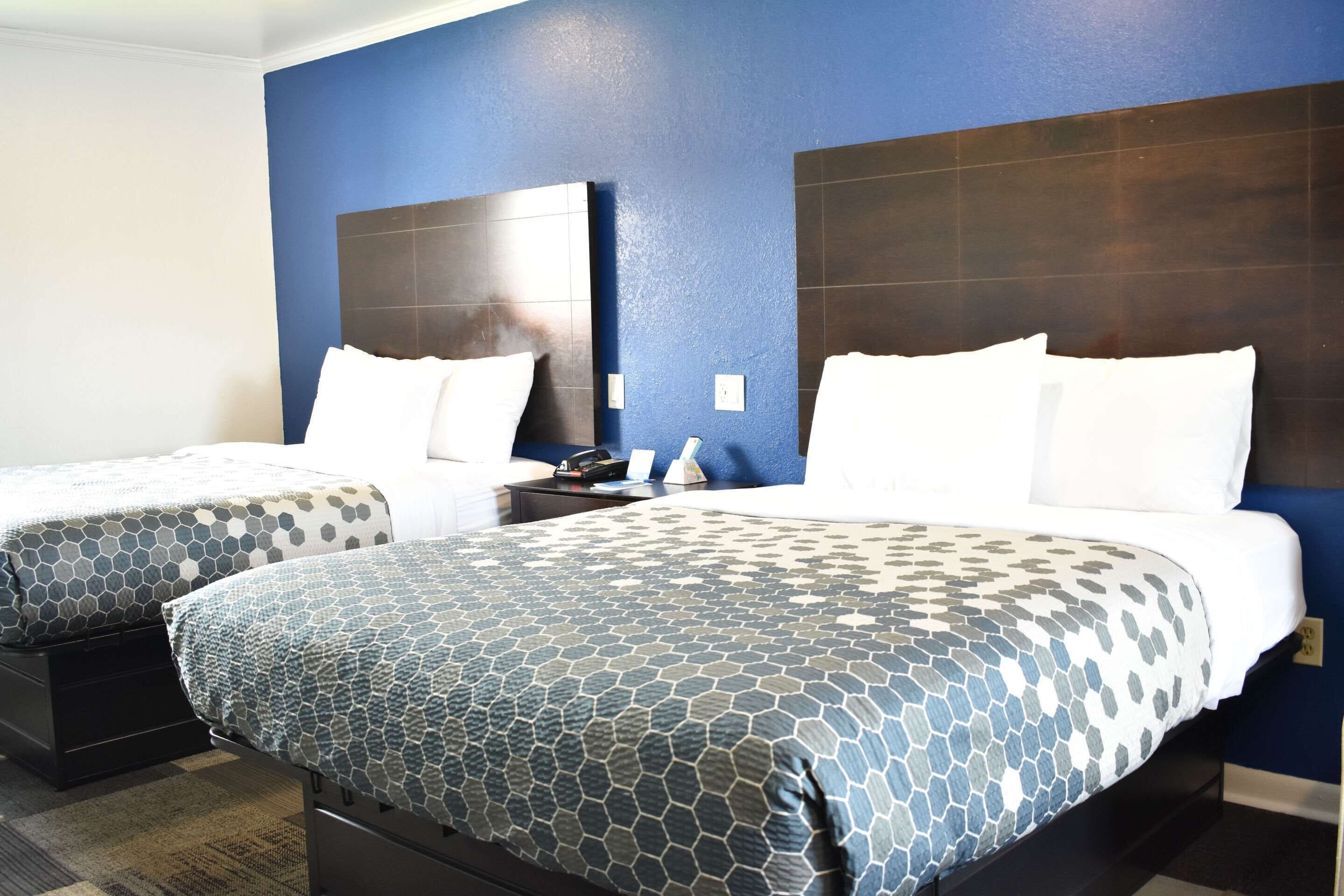 Premium bedding, individually decorated, individually furnished, desk