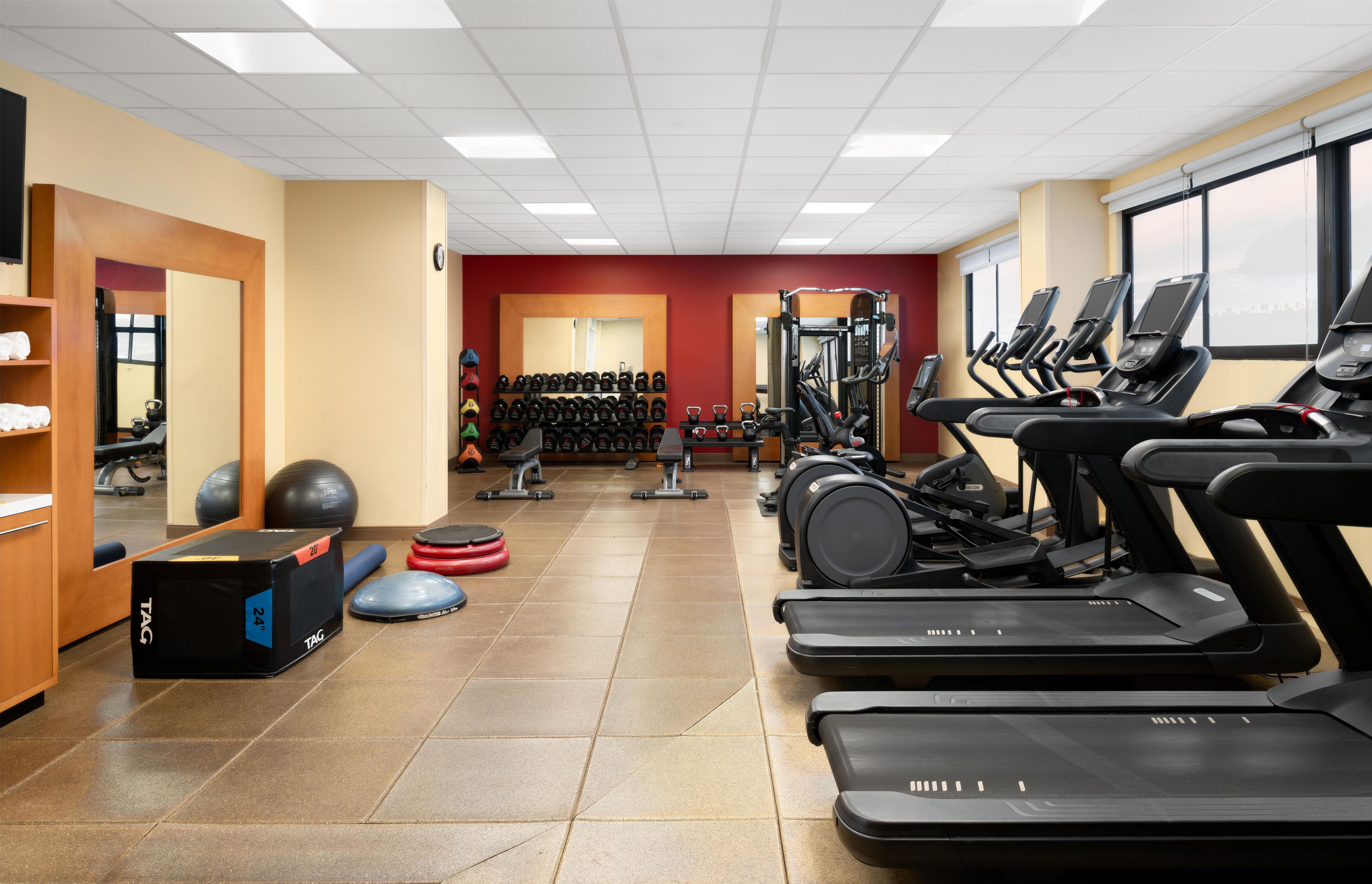 Une salle de sport équipée de tapis de course, d’appareils de musculation et de ballons d’exercice.