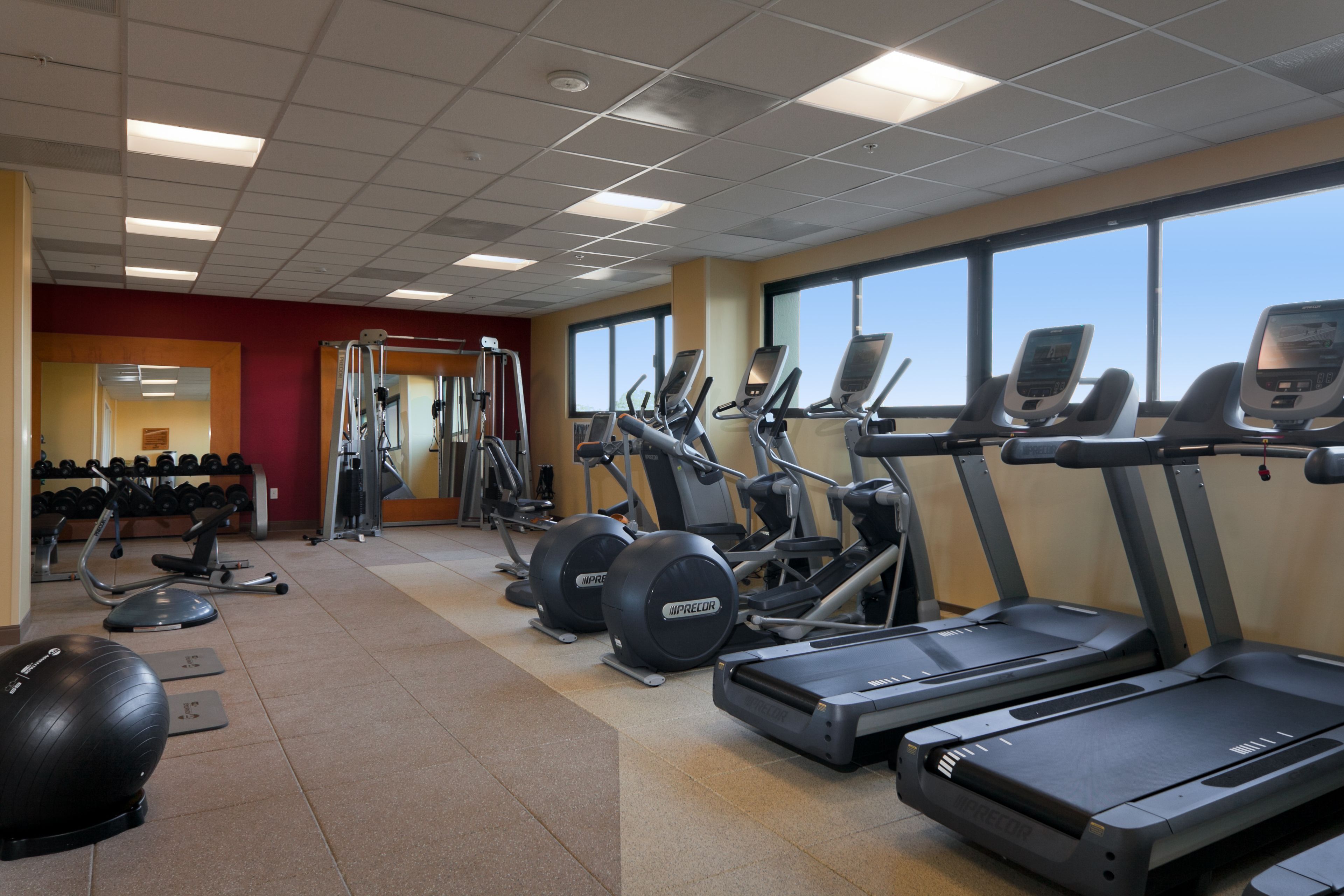 Un gimnasio con cintas de correr, elípticas y pelotas de ejercicio.