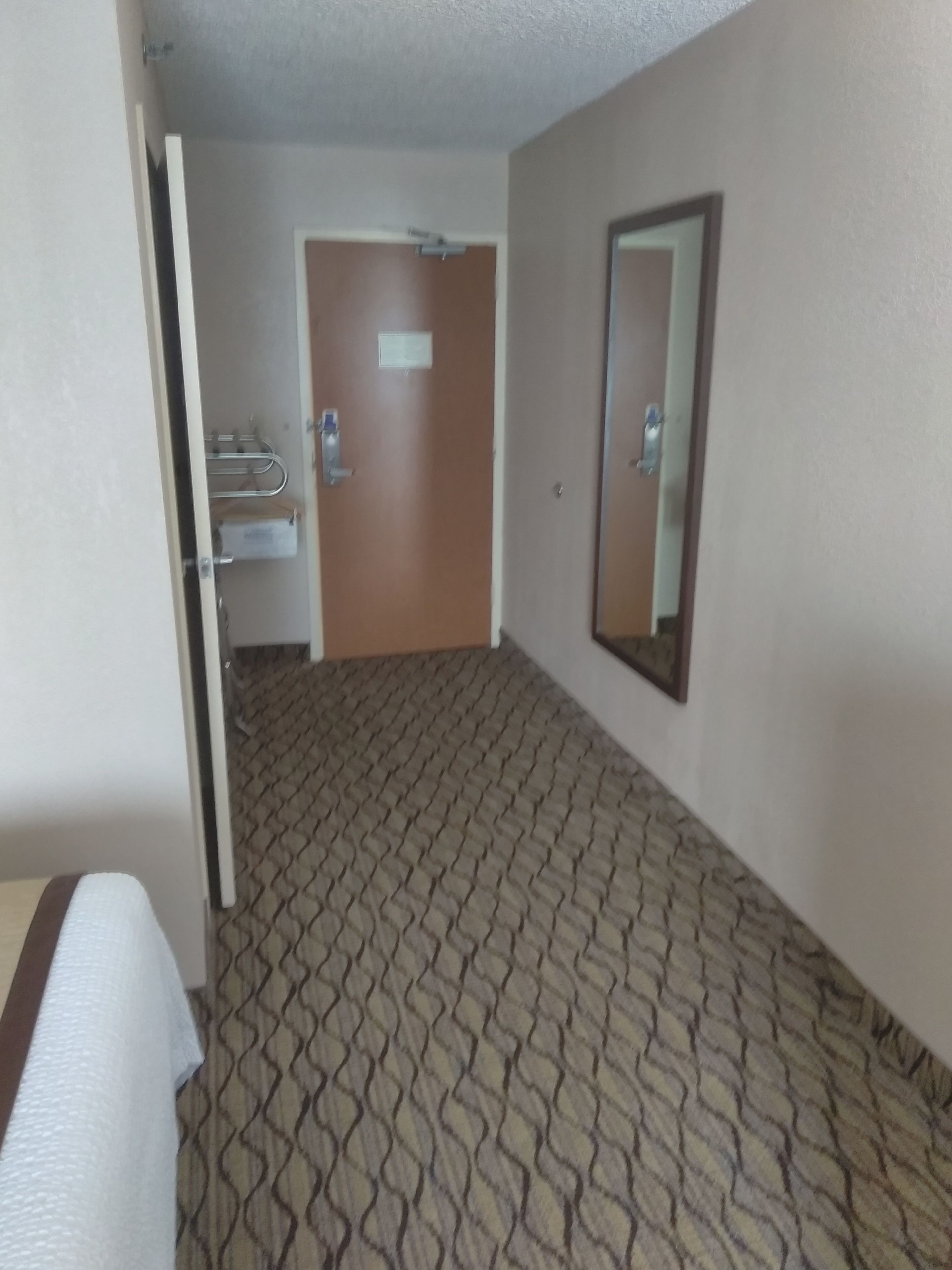 Ein Hotelgang mit Teppichmuster, einer Tür mit Schild und einem Spiegel an der Wand.