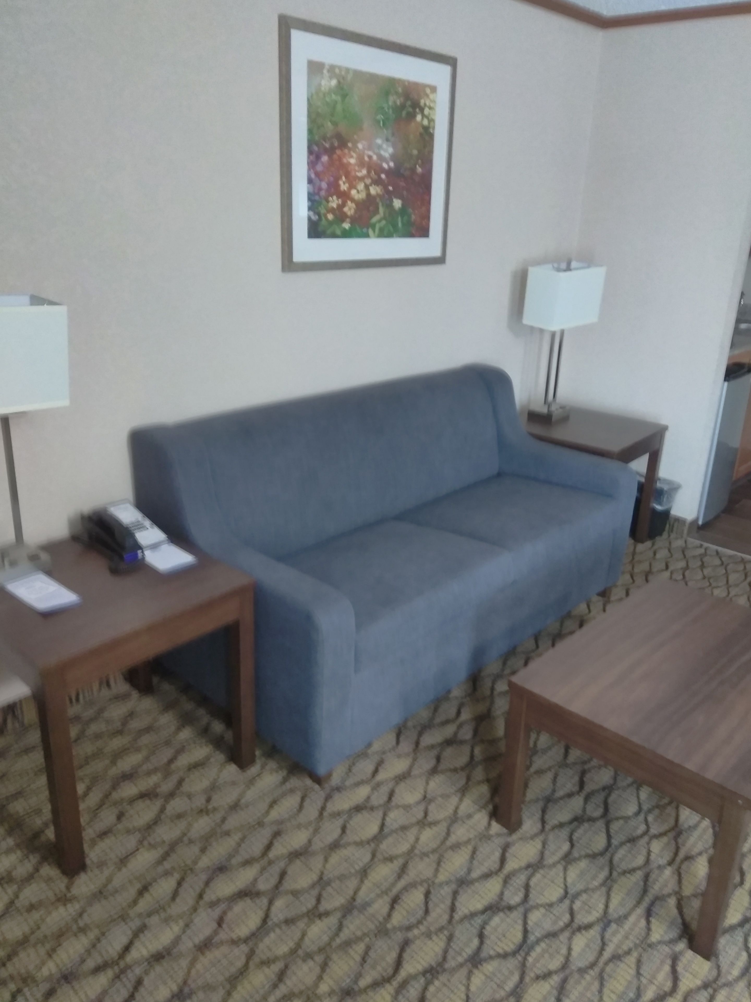 Una habitación con un sofá azul, una mesa de centro de madera, dos mesitas de noche con lámparas, un cuadro enmarcado en la pared y alfombra estampada.