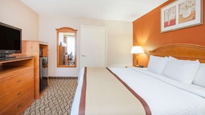 Una habitación de hotel con una cama, televisión, cómoda y espejo.