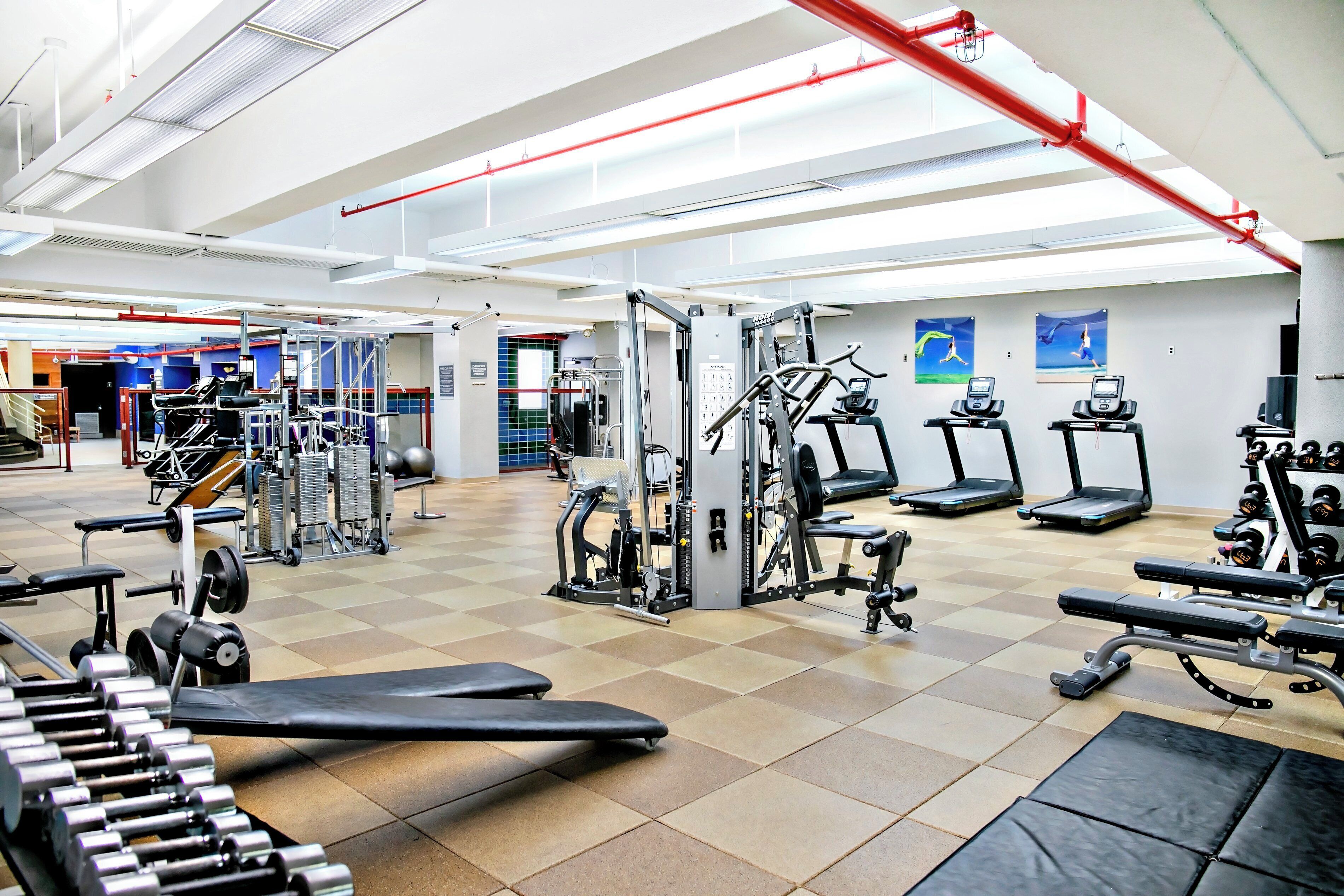 A gym with various exercise equipment, including treadmills, weight machines, and free weights.