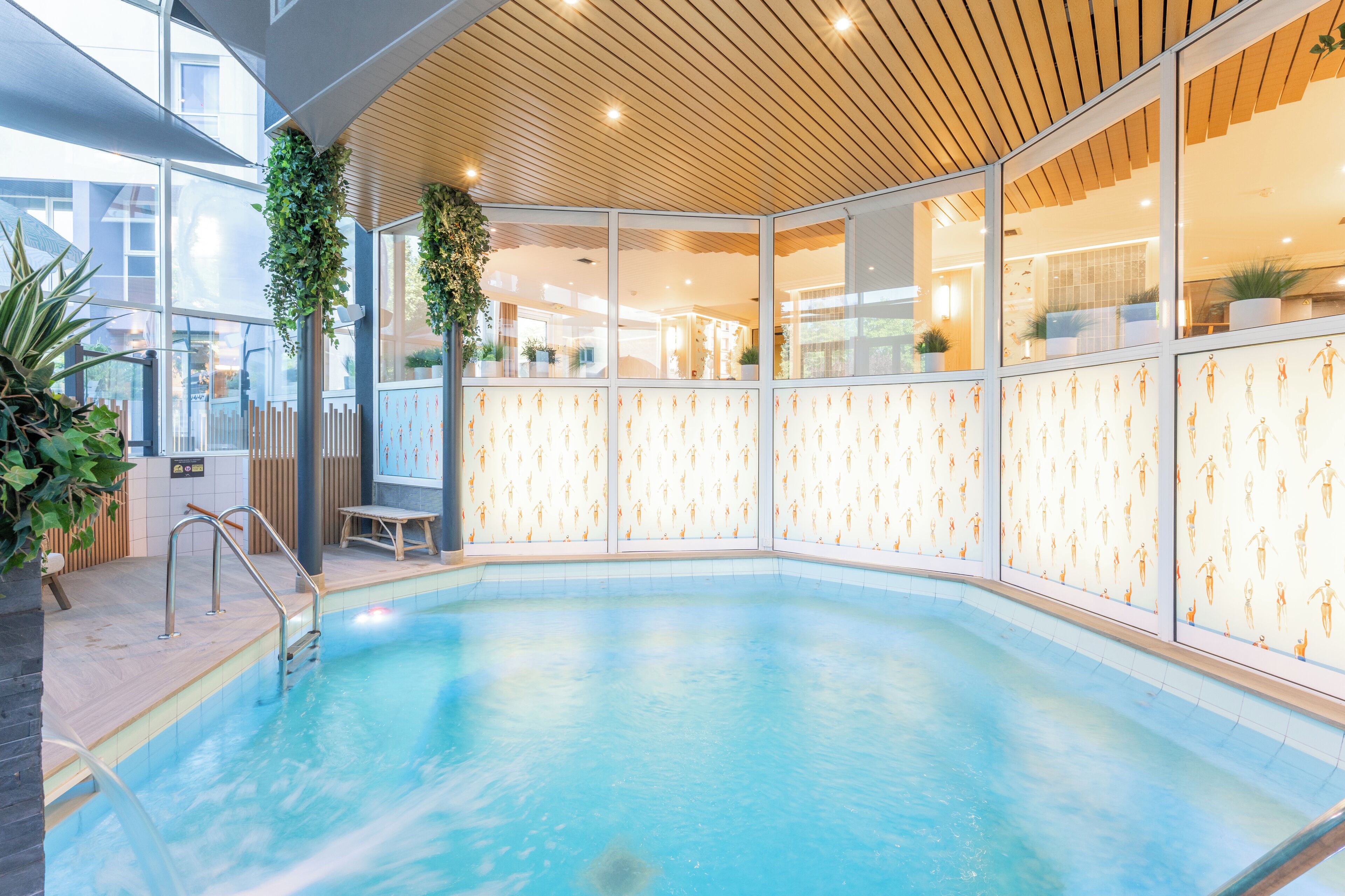 Una piscina interior con paredes de vidrio transparente, techo de madera y plantas en macetas.