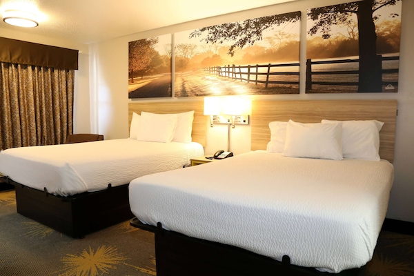 Desk, WiFi (free), bed sheets