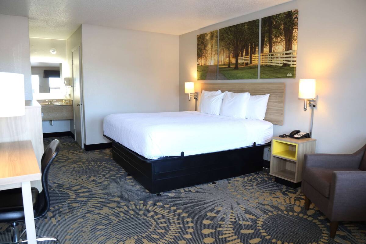 A hotel room with a bed, a desk, a chair, a nightstand, and a wall-mounted lamp.