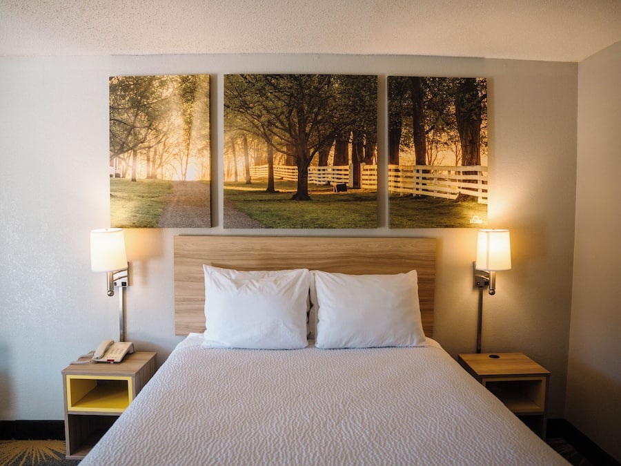 Desk, free WiFi, bed sheets