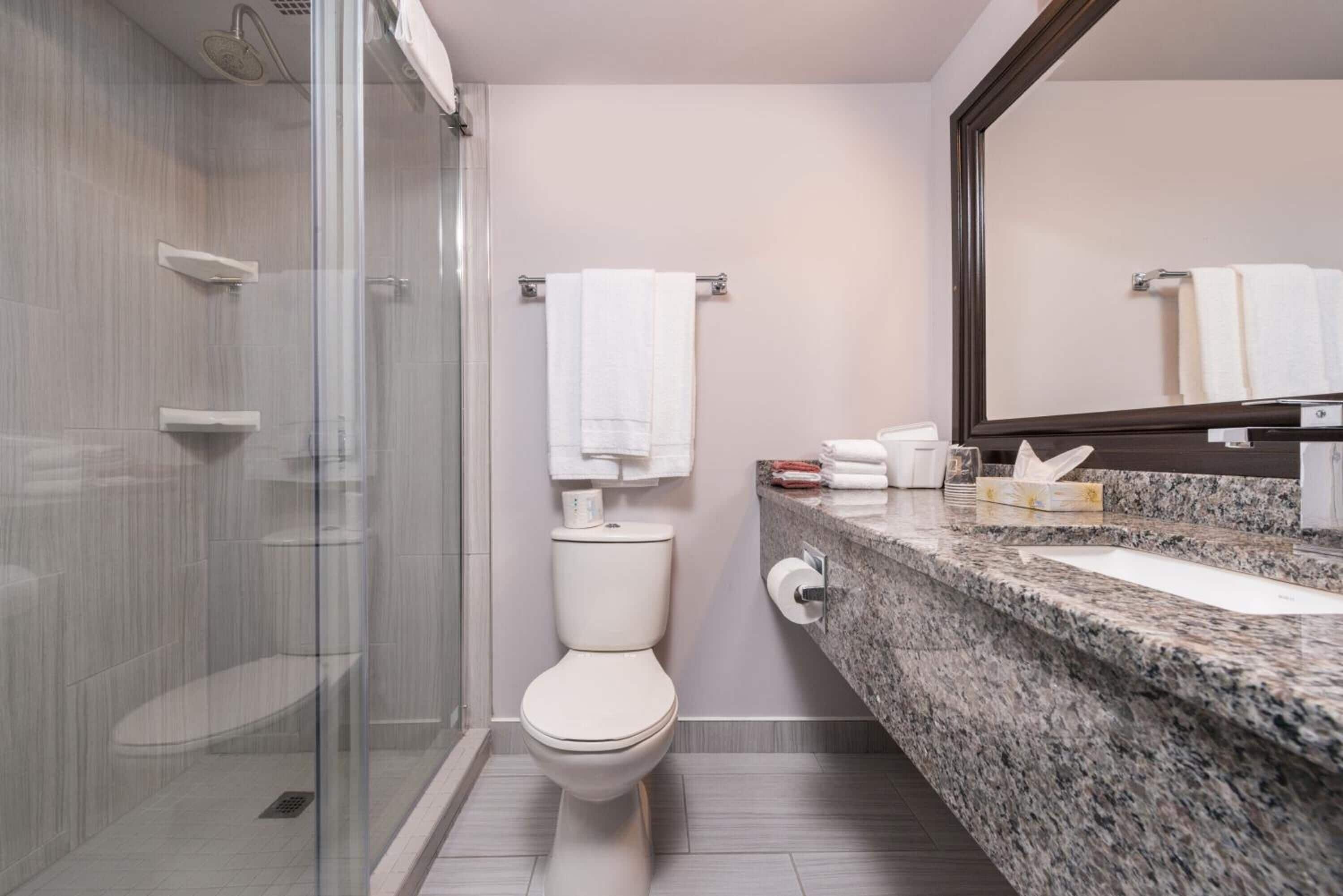 deluxe single room, 1 king bed, non smoking | bathroom | combined shower/bathtub, free toiletries, hair dryer, towels