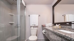 A modern bathroom with a glass-enclosed shower, a white toilet, a granite countertop with a sink, and a large mirror.