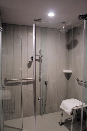 Combined shower/bathtub, free toiletries, hair dryer, towels